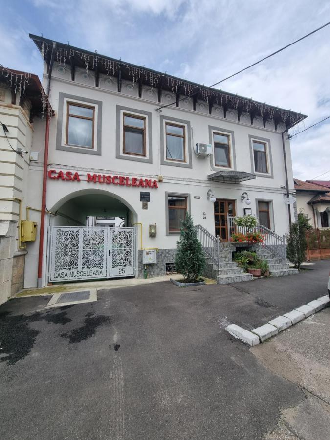 Casa Musceleana Hotel Câmpulung Buitenkant foto