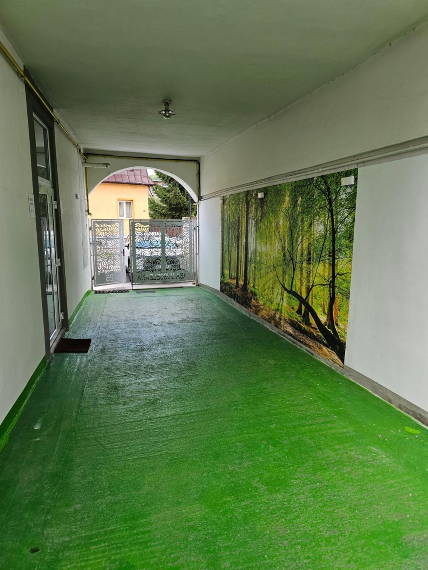 Casa Musceleana Hotel Câmpulung Buitenkant foto